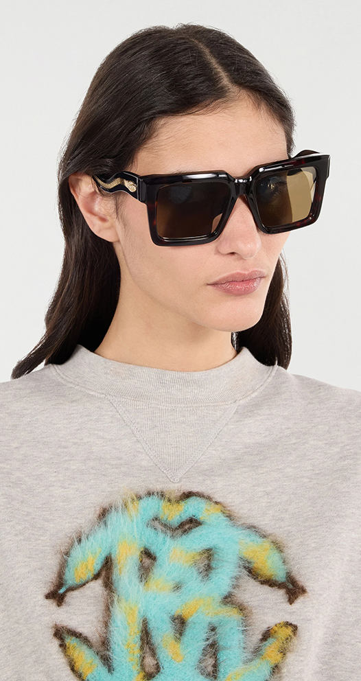 Roberto Cavalli brillen